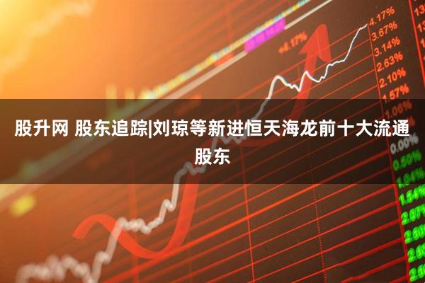 股升网 股东追踪|刘琼等新进恒天海龙前十大流通股东