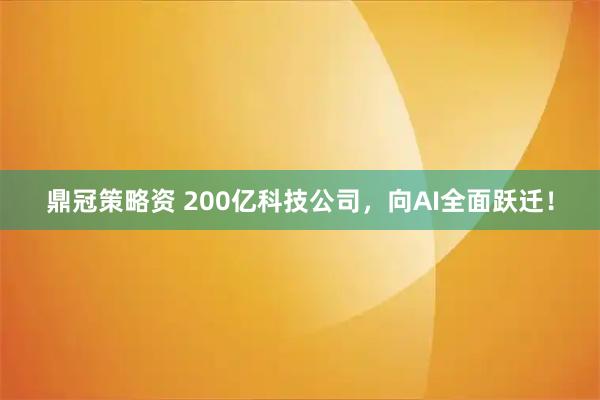 鼎冠策略资 200亿科技公司，向AI全面跃迁！