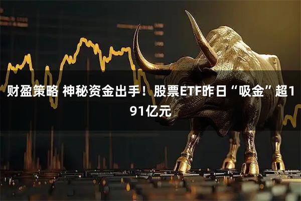 财盈策略 神秘资金出手！股票ETF昨日“吸金”超191亿元